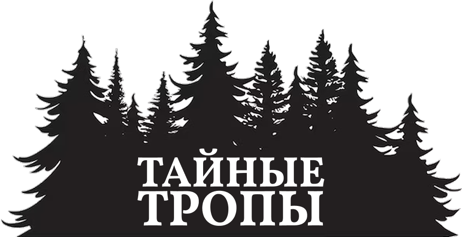 Логотип